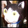 <img100*0:stuff/ataymisc`7.jpg>